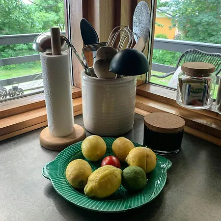 Wooden By Ideal For Swimming Vakantiehuis *